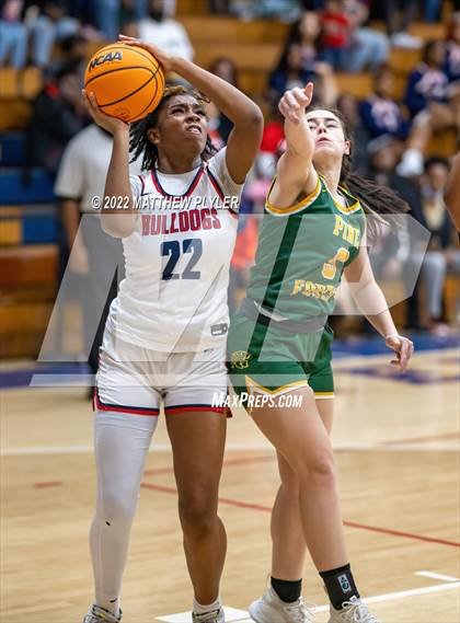 Thumbnail 2 in Pine Forest @ Terry Sanford photogallery.