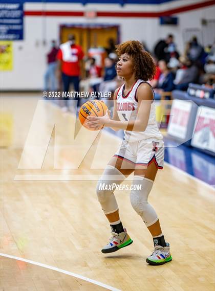 Thumbnail 3 in Pine Forest @ Terry Sanford photogallery.