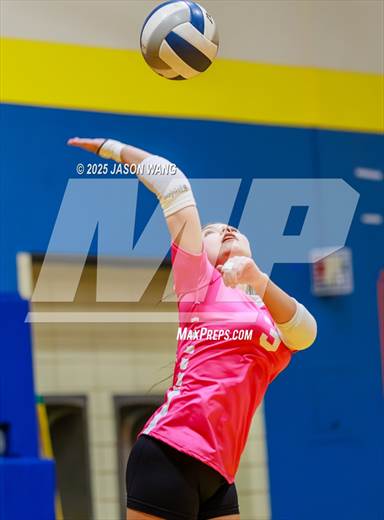 null - Photo 01