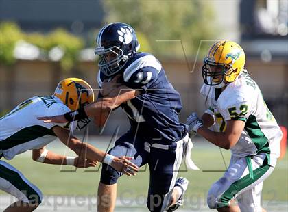 Thumbnail 1 in San Marin @ Marin Catholic photogallery.