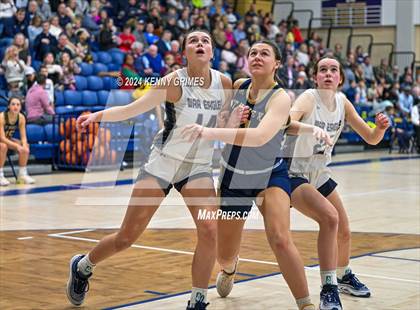 Thumbnail 3 in St. Pius X Catholic @ Marist photogallery.