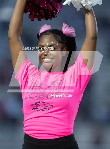 Thumbnail 3 in Langham Creek @ Waller photogallery.