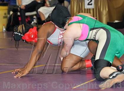 Thumbnail 2 in CIF State Girls Wrestling Championships (Round 4) photogallery.