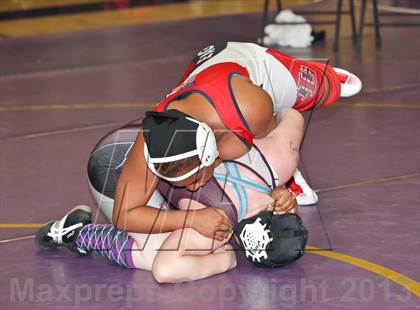 Thumbnail 1 in CIF State Girls Wrestling Championships (Round 4) photogallery.