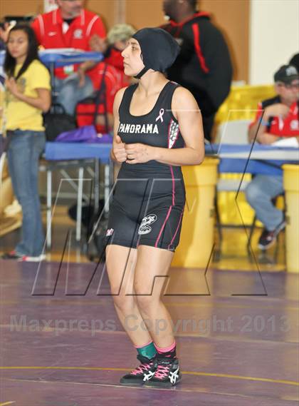 Thumbnail 3 in CIF State Girls Wrestling Championships (Round 4) photogallery.