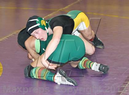 Thumbnail 1 in CIF State Girls Wrestling Championships (Round 4) photogallery.