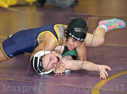 Thumbnail 2 in CIF State Girls Wrestling Championships (Round 4) photogallery.