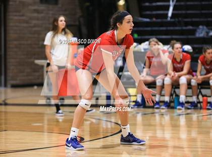 Thumbnail 3 in Centennial @ Verrado photogallery.