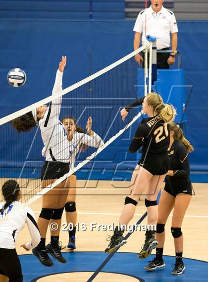 Thumbnail 3 in Westfield @ Fairfax photogallery.