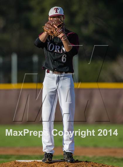 Thumbnail 1 in Shepherd vs Tarkington photogallery.
