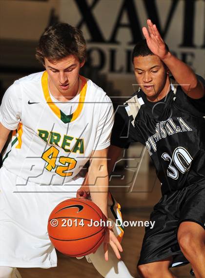Thumbnail 1 in Palos Verdes Peninsula vs. Brea Olinda (MaxPreps Holiday Classic) photogallery.