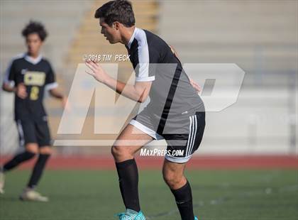 Thumbnail 2 in Canyon @ El Modena photogallery.