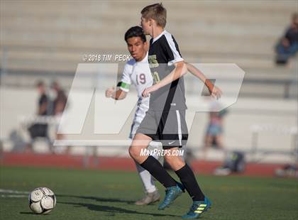 Thumbnail 3 in Canyon @ El Modena photogallery.