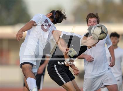 Thumbnail 1 in Canyon @ El Modena photogallery.