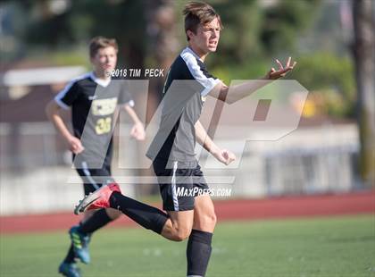 Thumbnail 1 in Canyon @ El Modena photogallery.