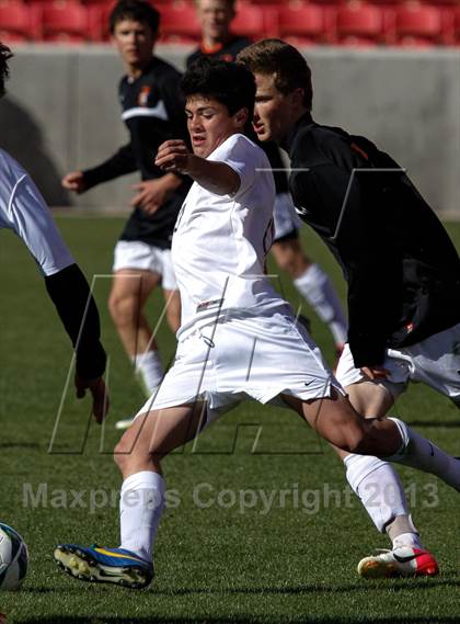 Thumbnail 1 in Murray vs Skyline  photogallery.