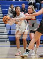 Photo from the gallery "Douglas @ Reed"