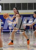 Photo from the gallery "Douglas @ Reed"