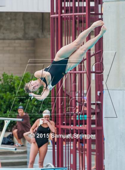 Thumbnail 1 in CIF State Girls Diving Championships photogallery.