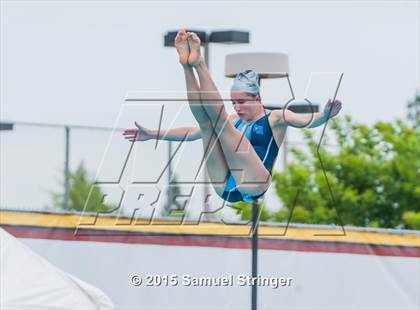 Thumbnail 1 in CIF State Girls Diving Championships photogallery.