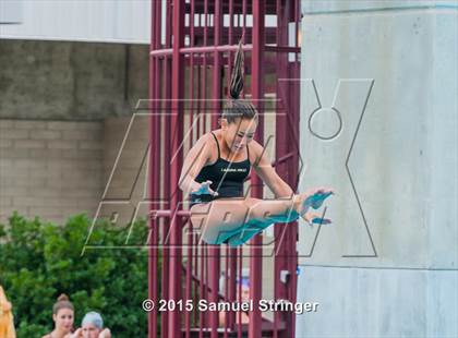 Thumbnail 2 in CIF State Girls Diving Championships photogallery.