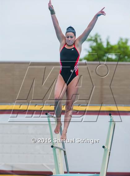 Thumbnail 3 in CIF State Girls Diving Championships photogallery.