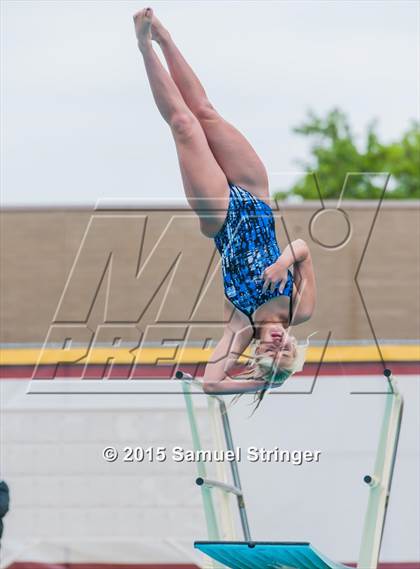 Thumbnail 1 in CIF State Girls Diving Championships photogallery.