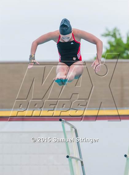 Thumbnail 1 in CIF State Girls Diving Championships photogallery.