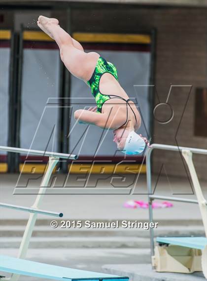 Thumbnail 3 in CIF State Girls Diving Championships photogallery.