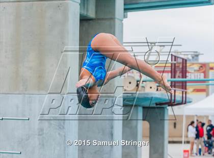 Thumbnail 1 in CIF State Girls Diving Championships photogallery.