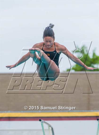 Thumbnail 1 in CIF State Girls Diving Championships photogallery.