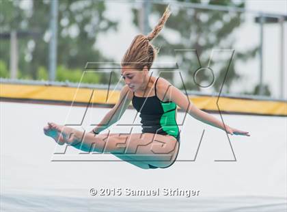 Thumbnail 1 in CIF State Girls Diving Championships photogallery.