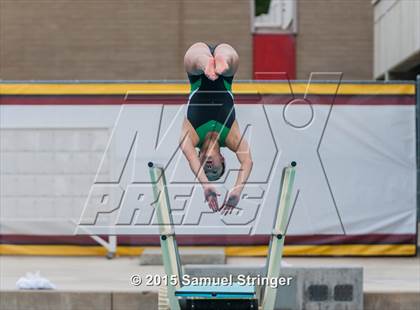 Thumbnail 1 in CIF State Girls Diving Championships photogallery.