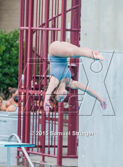 Thumbnail 3 in CIF State Girls Diving Championships photogallery.