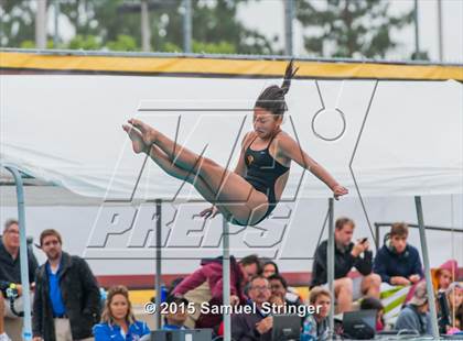 Thumbnail 1 in CIF State Girls Diving Championships photogallery.