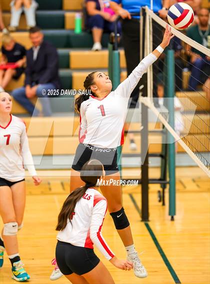 Thumbnail 2 in JV: Elizabeth @ Falcon photogallery.