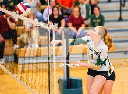 Thumbnail 1 in JV: Elizabeth @ Falcon photogallery.