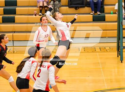 Thumbnail 1 in JV: Elizabeth @ Falcon photogallery.