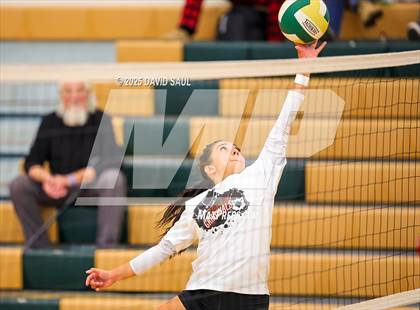 Thumbnail 1 in JV: Elizabeth @ Falcon photogallery.