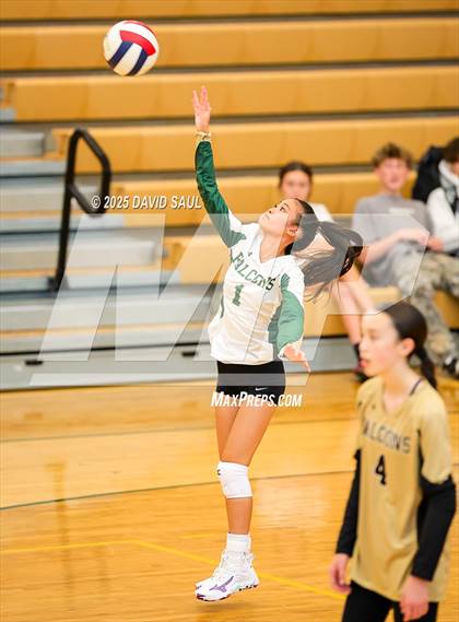 Thumbnail 1 in JV: Elizabeth @ Falcon photogallery.