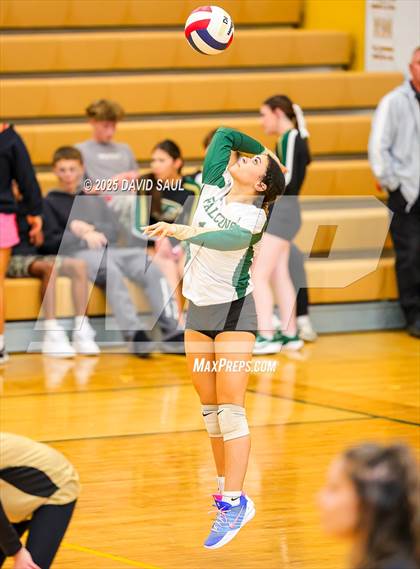 Thumbnail 2 in JV: Elizabeth @ Falcon photogallery.