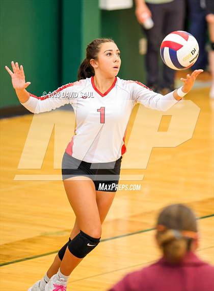 Thumbnail 3 in JV: Elizabeth @ Falcon photogallery.