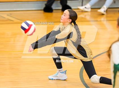 Thumbnail 1 in JV: Elizabeth @ Falcon photogallery.