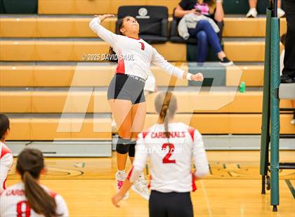 Thumbnail 2 in JV: Elizabeth @ Falcon photogallery.