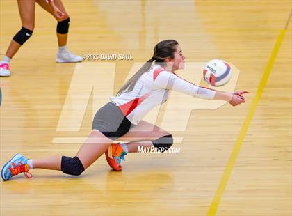 Thumbnail 3 in JV: Elizabeth @ Falcon photogallery.