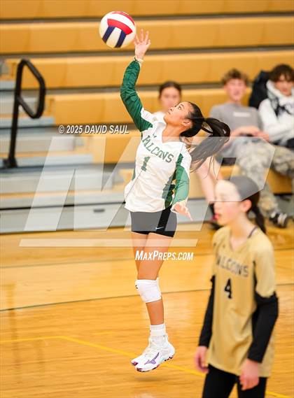 Thumbnail 3 in JV: Elizabeth @ Falcon photogallery.