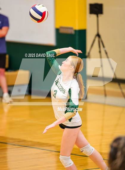 Thumbnail 3 in JV: Elizabeth @ Falcon photogallery.