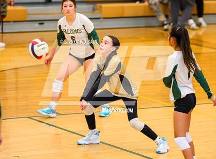 Thumbnail 2 in JV: Elizabeth @ Falcon photogallery.