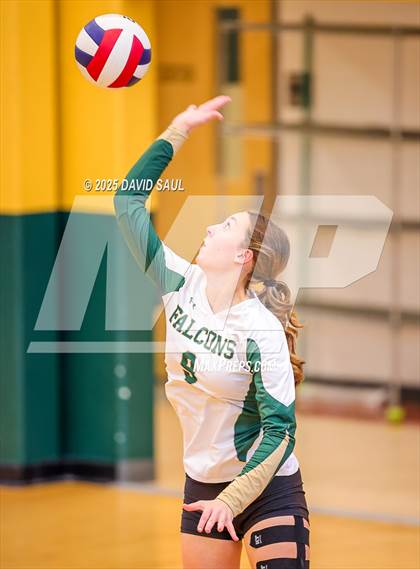 Thumbnail 2 in JV: Elizabeth @ Falcon photogallery.