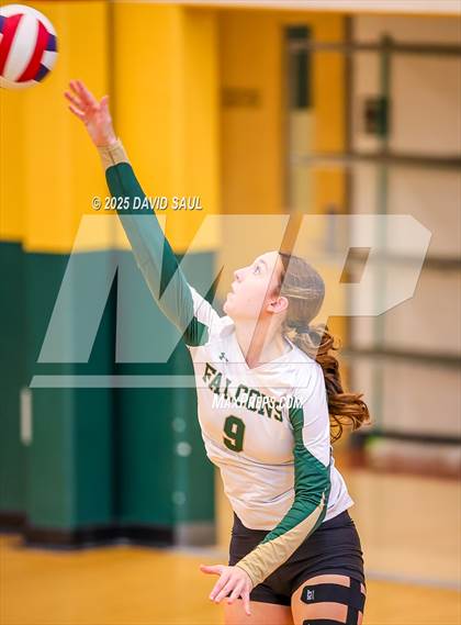 Thumbnail 3 in JV: Elizabeth @ Falcon photogallery.